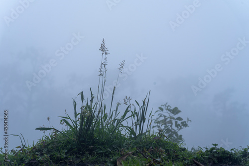 The Misty Mountains Cold of Choachi, Colombia photo