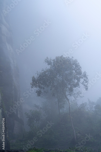 The Misty Mountains Cold of Choachi, Colombia photo