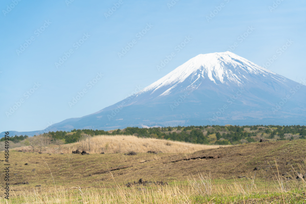 野焼きした高原と富士山　春