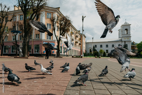 Foto Flock Of Pigeons Flying Against Built Structures
