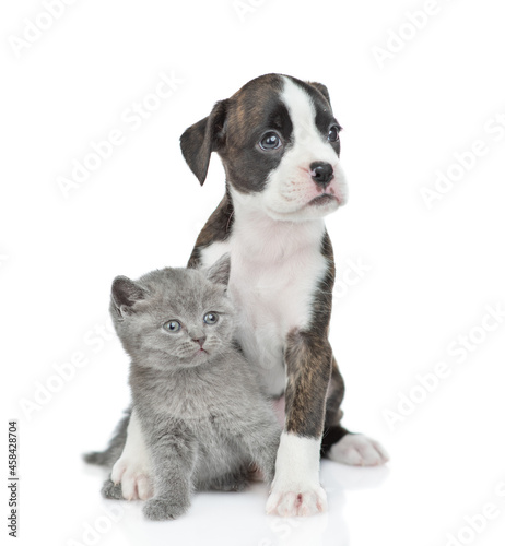 Friendly German Boxer puppy dog hugs tiny kitten. isolated on white background