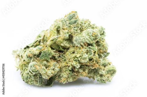 Fotografie Mimosa - Cannabis Bud