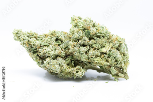 Mimosa - Cannabis 2 Buds