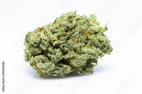 El Jefe - Cannabis Bud