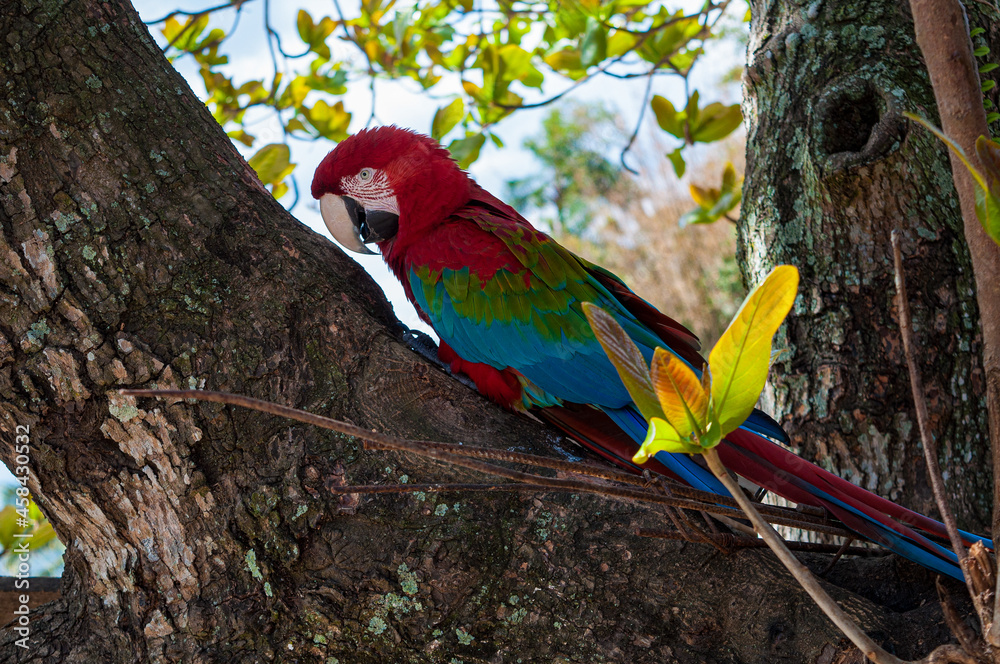 Fototapeta premium picture taken outdoors