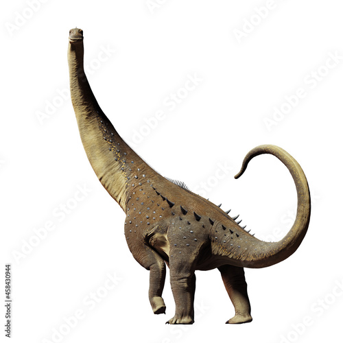 Fototapeta Naklejka Na Ścianę i Meble -  Titanosaurus, dinosaur from the Late Cretaceous period isolated on white background