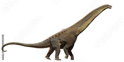 Titanosaurus  dinosaur from the Late Cretaceous period isolated on white background