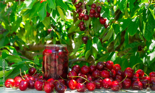 Tableau sur toile Rich harvest of wild cherries on table under cherry tree branch