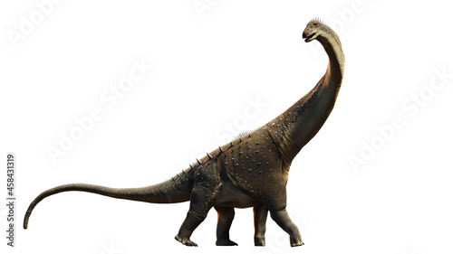 Titanosaurus, dinosaur from the Late Cretaceous period isolated on white background © dottedyeti