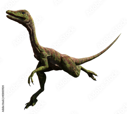 Compsognathus longipes attack  small dinosaur from the Late Jurassic period  isolated on white background