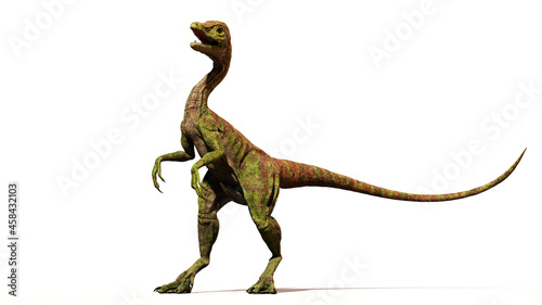 Compsognathus longipes attack, small dinosaur from the Late Jurassic period, isolated on white background © dottedyeti