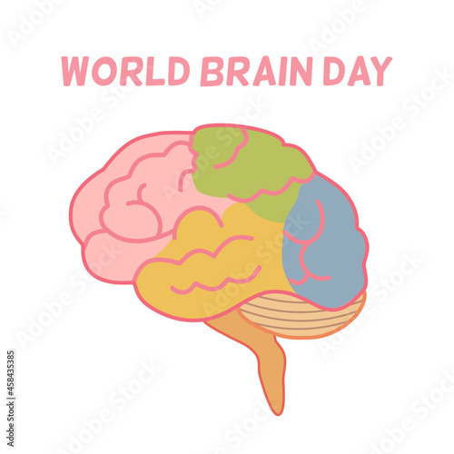 A colorful brain illustration, world brain day concept 