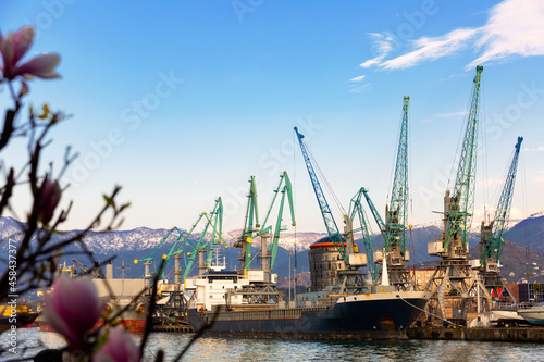 Ship tanker and heavy-lift crane in the industrial seaport of Batumi, Georgia