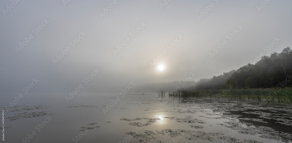 Fog on the river. Mystical landscape at dawn. Early morning. Beautiful dawn in the summer by the river. Scenic landscape in the early morning at sunrise.