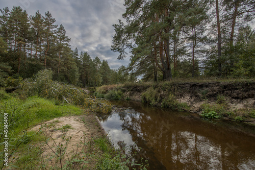 Bright green grass in the foreground in a landscape with a river. Summer landscape with cloudy sky, old pine forest and river. Lots of juicy greens. © Sergei