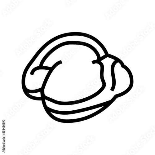 gizzard chicken line icon vector. gizzard chicken sign. isolated contour symbol black illustration