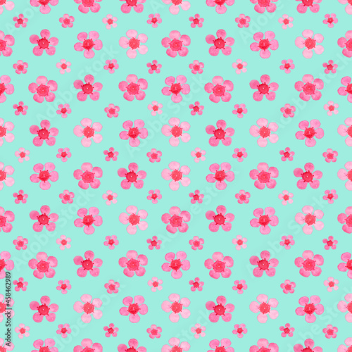 Pink Wax flower blossom seamless pattern illustration watercolor flora painting