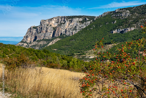 Verdon Gorge, Gorges du Verdon in French Alps, Provence, France photo