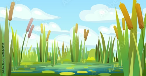 Landscape with a swampy shore of a lake or river. Coast is overgrown with grass, reeds and cattails. Water with water lily leaves. Wild pond. Vector.