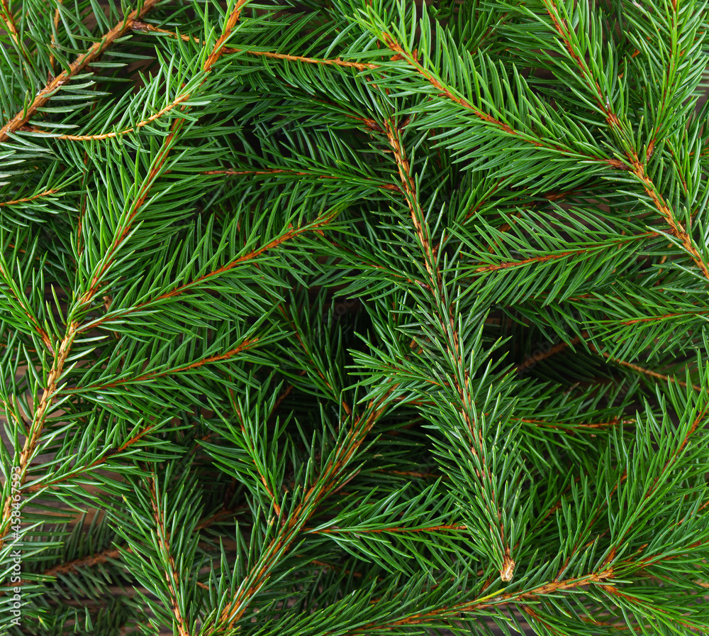 Background from green spruce branches. Christmas and New Year concept. Horizontal orientation, top view. Background from green spruce branches. Christmas and New Year concept. Horizontal orientation, top view.
