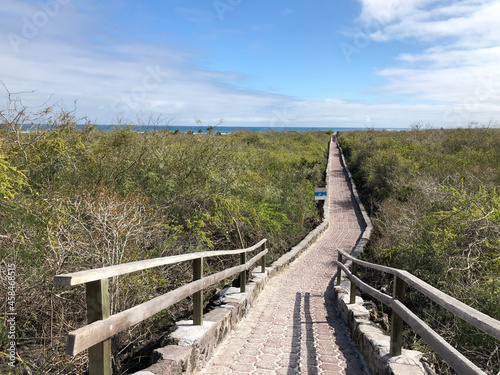 Tortuga Bay beach in Galapagos Islands, Isla Santa Cruz（トルトゥーガベイ, ガラパゴス諸島, サンタクルス島）