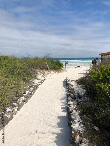 Tortuga Bay beach in Galapagos Islands, Isla Santa Cruz（トルトゥーガベイ, ガラパゴス諸島, サンタクルス島）
