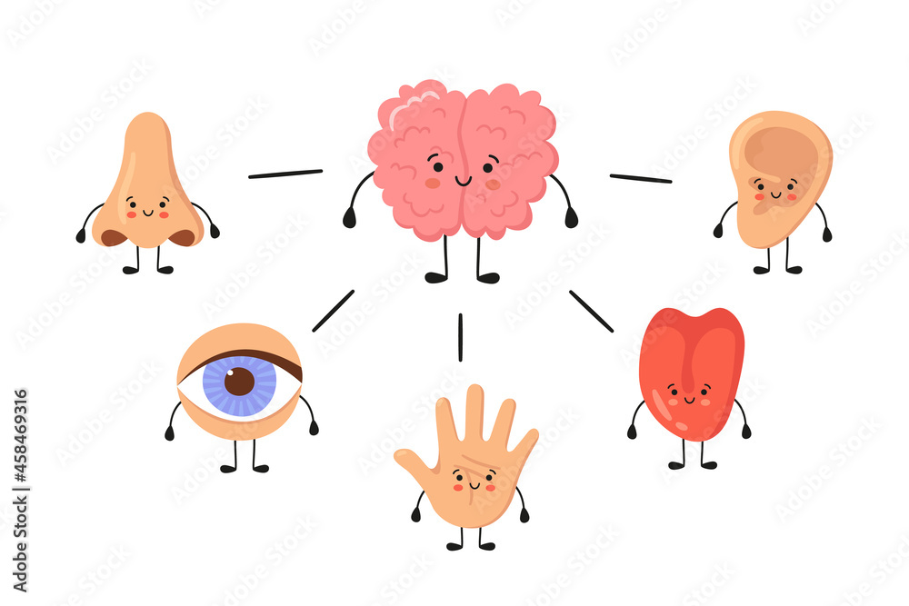 Brain and five human senses organs kawaii characters. Nose, ear, hand, tongue and eye. Cute sensory organs. See, hear, feel, smell and taste. Vector illustrations isolated on white background.