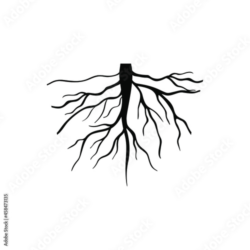 Root vector icon set. tree illustration sign collection. herbs symbol.