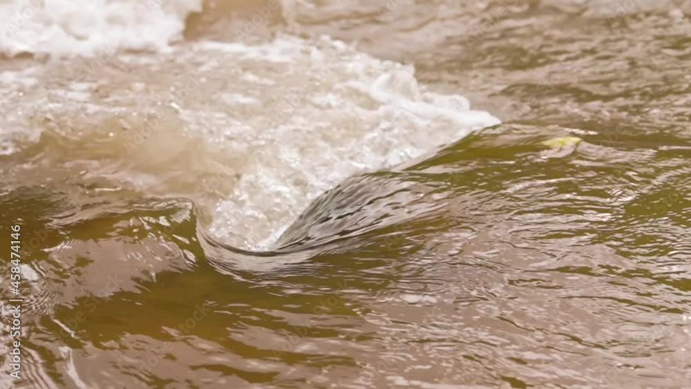 Close up A creek flowing from a mountain in the morning, slow motion. Close up A creek flowing from a mountain in the morning, slow motion.