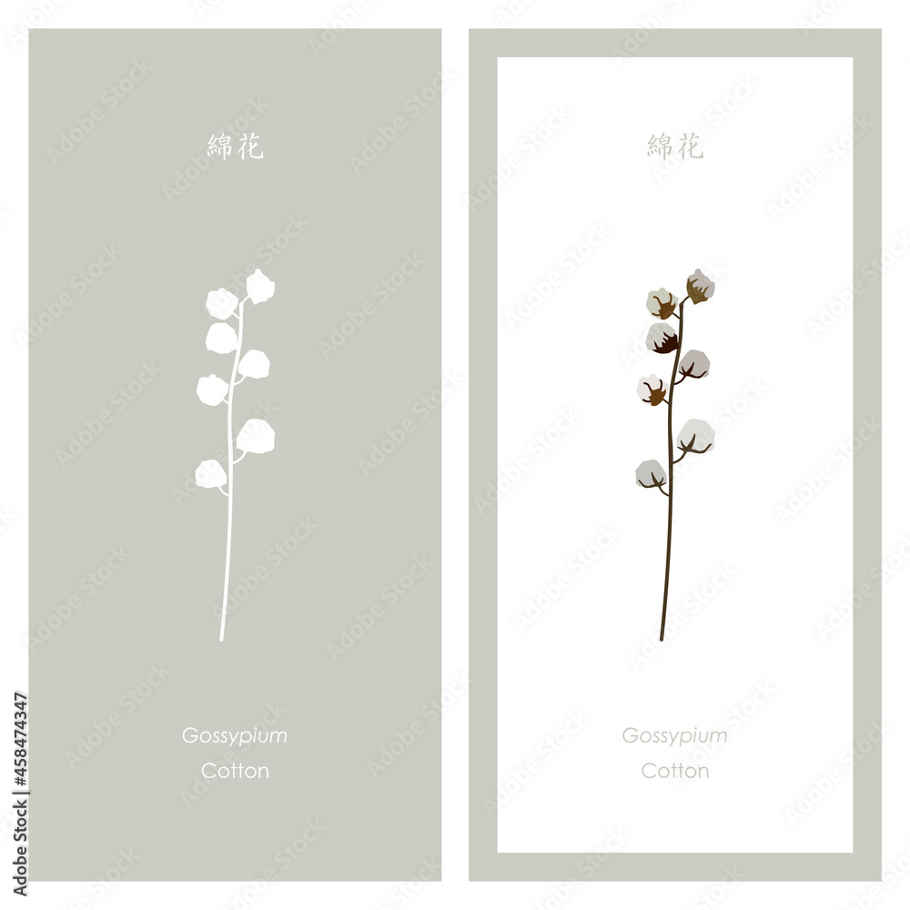 コットンフラワーのイラストとシルエット Stock Vector Adobe Stock