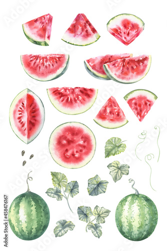 Watercolor illustration set – Watermelon