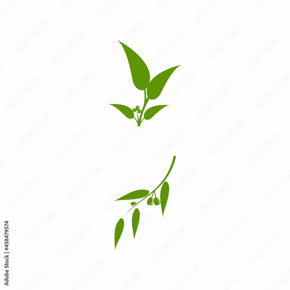 Obraz premium Eucalyptus leaves logo vector template design illustration
