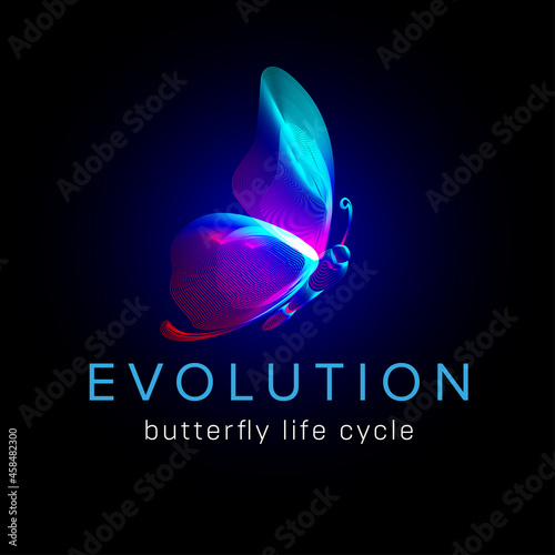 Evolution butterfly life cycle. Flying moth neon silhouette in 3D line art style. Vector illustration of glowing papillon wireframe side view isolated on a dark background