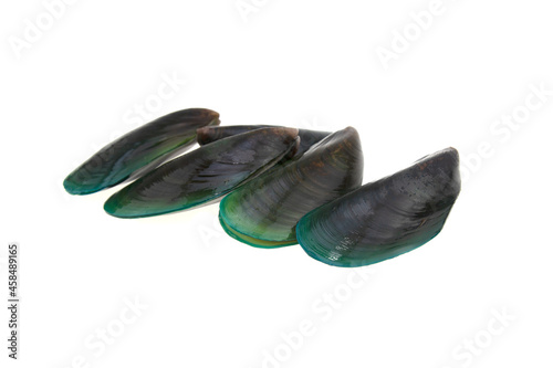 fresh mussels isolated on white background