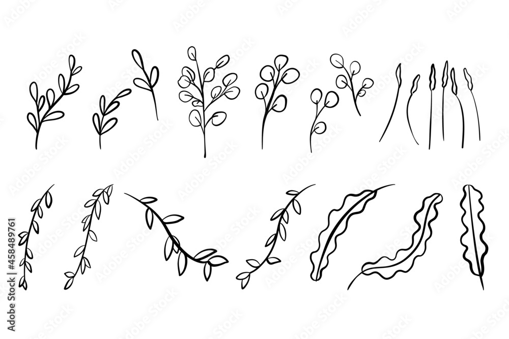 Obraz premium Foliage Eucalyptus and Leaves Vector Outline Illustration Set