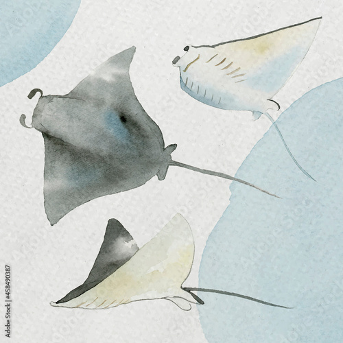Watercolor painted manta ray in watercolor banner vector