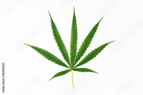 Cannabis on a white background.