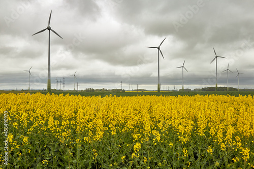 wind power generators in a blooming rapeseed field in cluudy weather
