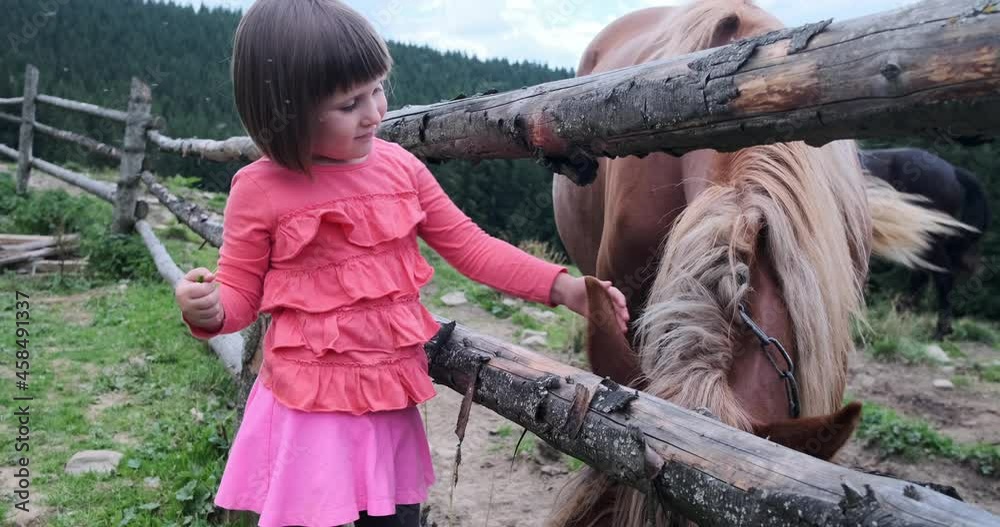 Little girl trying to feed horse in stud farm by forest
