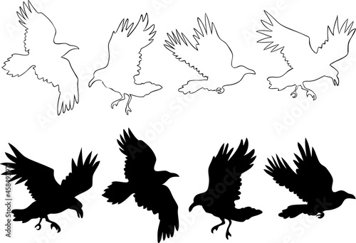 Set of realistic raven vector silhouettes for icons. Hand drawn style