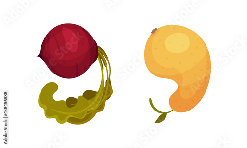 Number 9 Nine made of fresh beetroot and pear cartoon vector illustration