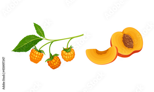 Orange fruit and berries set. Fresh ripe cloudberry and peach cartoon vector illustration