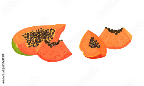 Fresh ripe tropical sliced papaya fruit. Healthy diet, organic, vegetarian product vector illustration