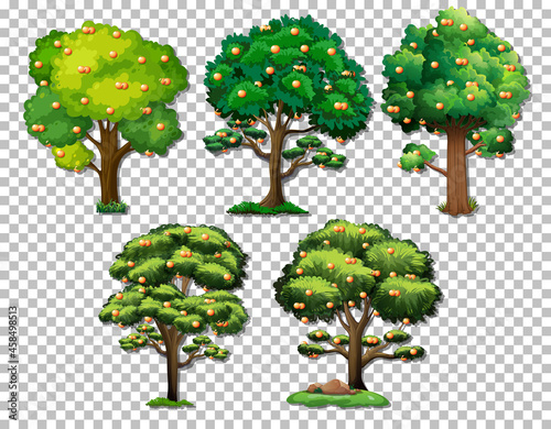 Set of various trees on transparent background