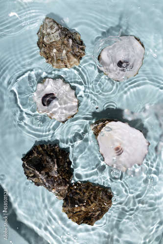 Fototapeta Naklejka Na Ścianę i Meble -  Top view of shells in the blue clear water, water drops.Background for beauty products.Holiday backdrop