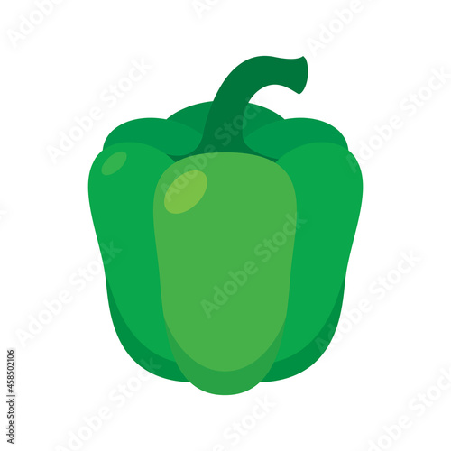 Large green bell pepper icon vector. Fresh green pepper icon isolated on a white background