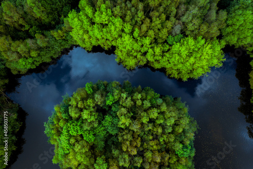 Aerial view of lush rainforest tree canopy surrounded by river water