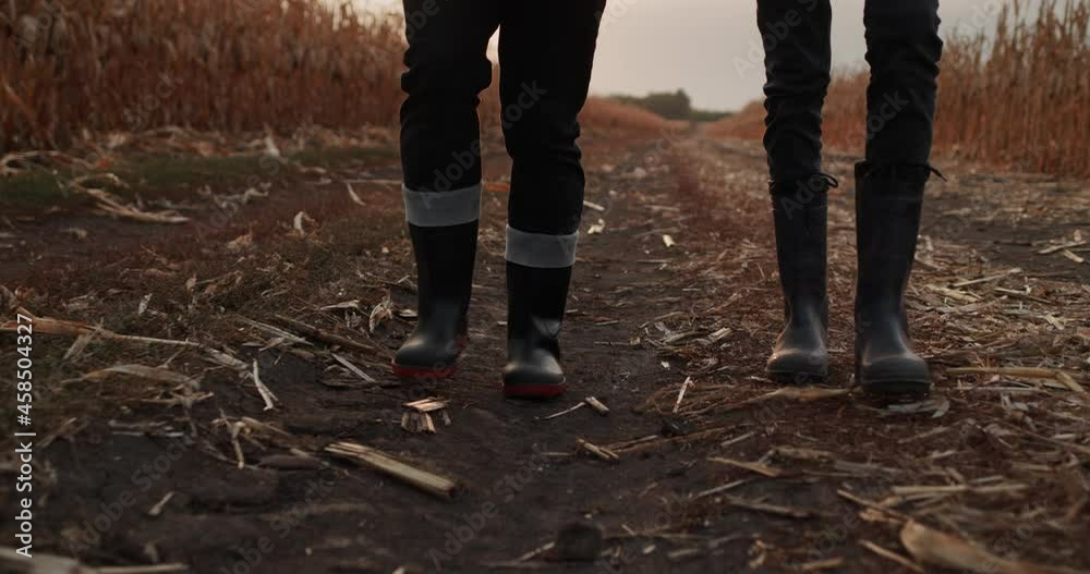 Two farmers in boots walk between fields of corn, in the frame only feet are visible Two farmers in boots walk between fields of corn, in the frame only feet are visible
