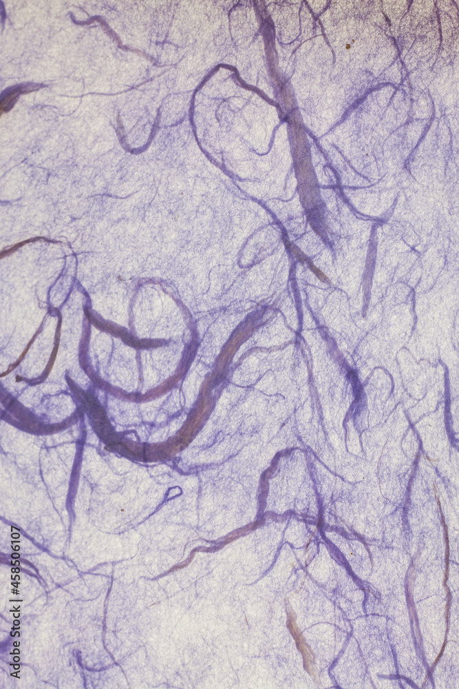 Blue mulberry paper. Blue mulberry paper.