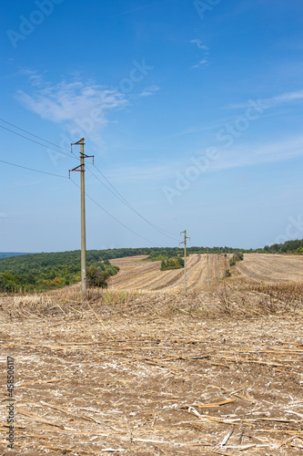 Fresh landscape from a line of electric poles with electric cables in the field after the sunflower is harvested. Vertical. © Valentina